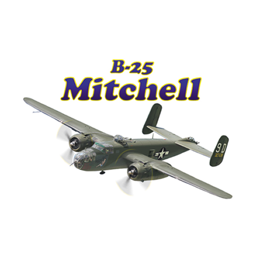 B-25 Classic Flight Hat