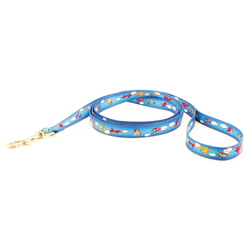 Medium size Dog Leash
